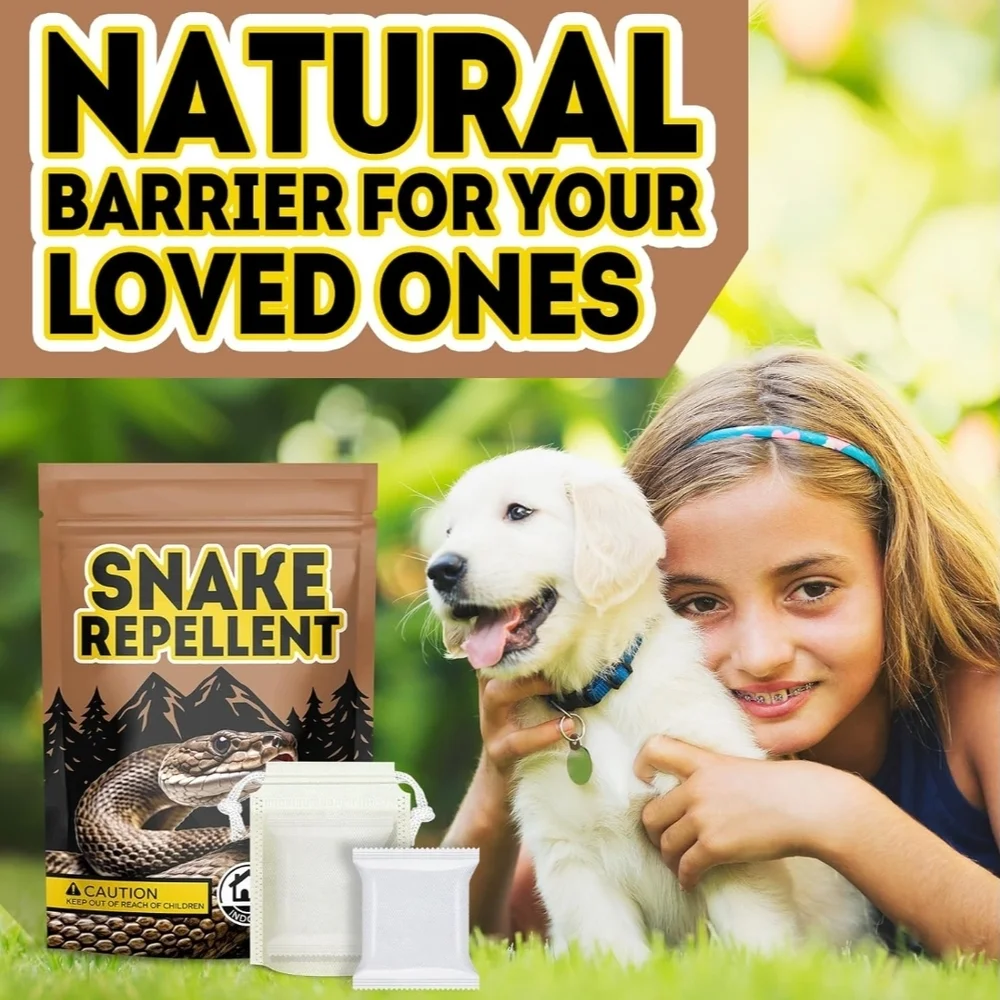 Brown Reptile Habitat Maintenance Essentials